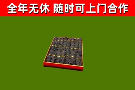 鹿城区回收海参
